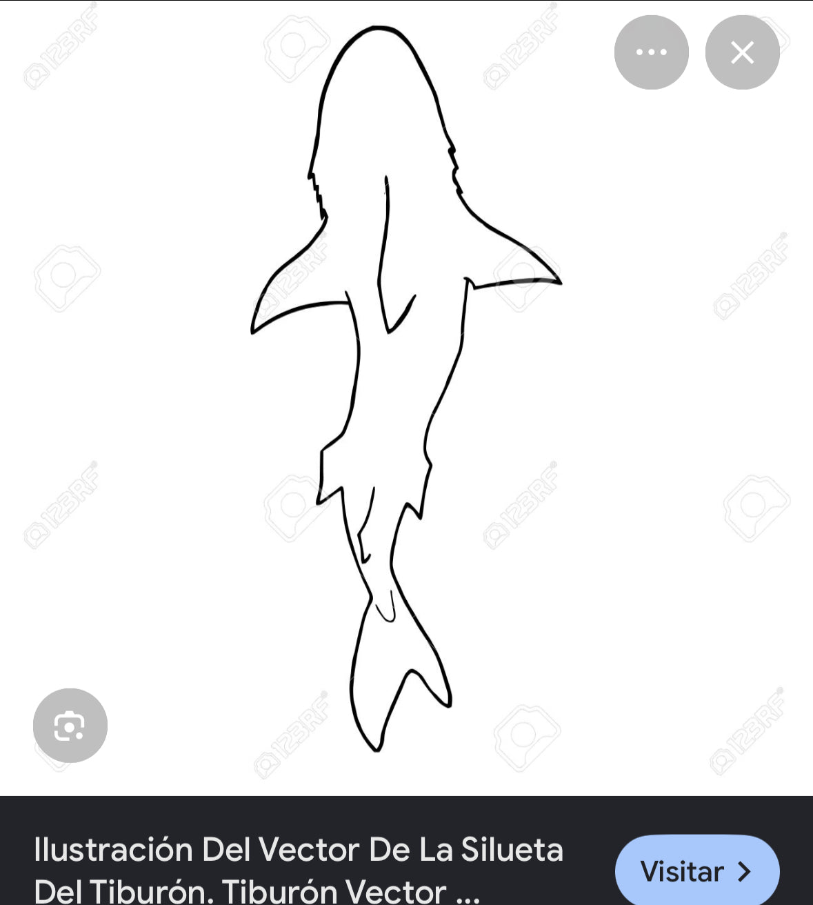Sudadera Tiburón