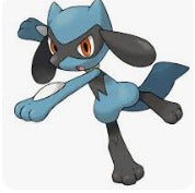 Riolu Bordado